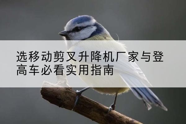 洱源电动升降机厂家-选移动剪叉升降机厂家与登高车必看实用指南