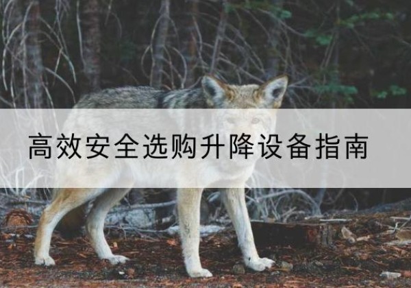洱源升降货梯厂家推荐-*安全选购升降设备指南