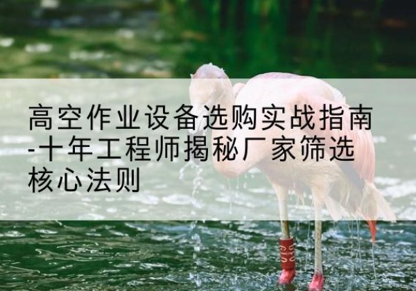 洱源剪叉式升降机厂家-高空作业设备选购实战指南-十年工程师揭秘厂家筛选核心法则